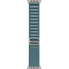 Умные часы Apple Watch Ultra 3, 49 мм, Natural Titanium Light Blue Alpine Loop S